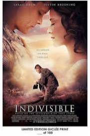 Indivisible 2018
